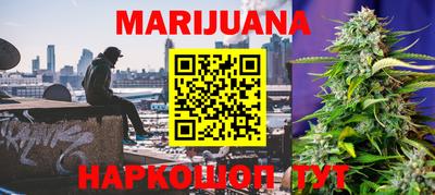 apvp Кунгур