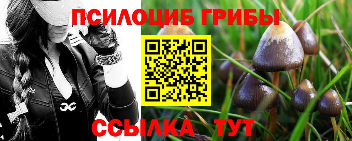 Псилоцибиновые грибы мухоморы Новокуйбышевск