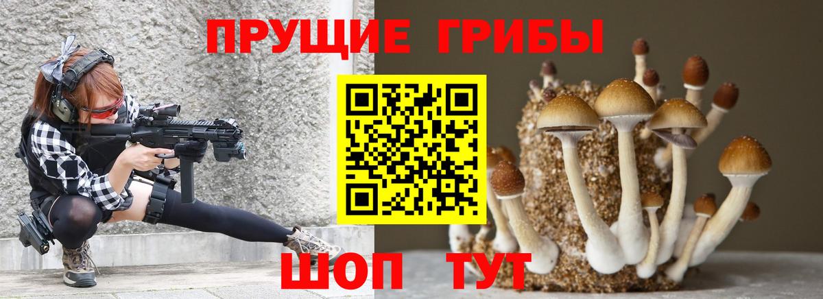Галлюциногенные грибы Psilocybe  Вход с VPN  Новокуйбышевск  Галлюциногенные грибы Psilocybe 